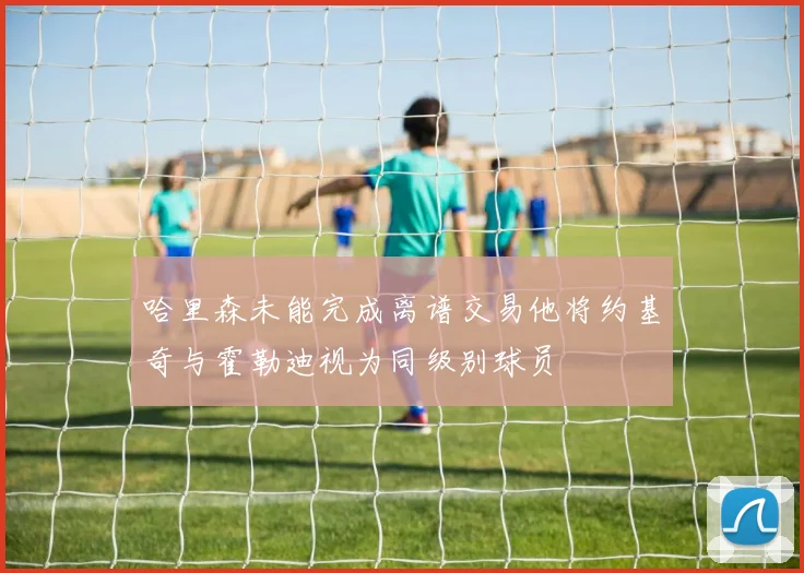 哈里森未能完成离谱交易他将约基奇与霍勒迪视为同级别球员