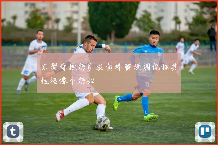 东契奇抱怨引发黄蜂解说调侃称其性格像个怨妇