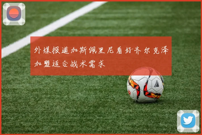 外媒报道加斯佩里尼看好齐尔克泽加盟适合战术需求
