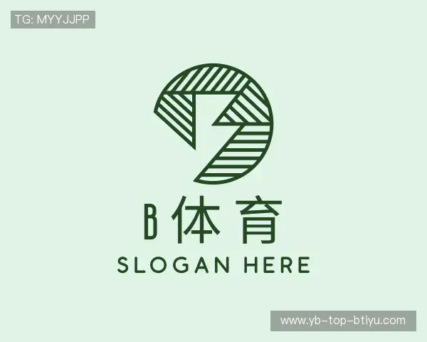 了解B体育官方网站